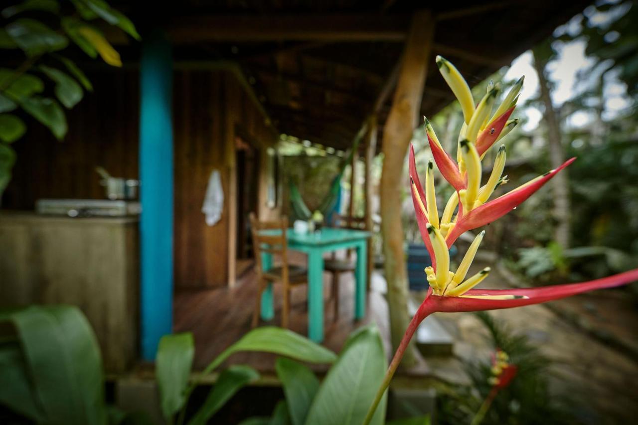 Casa Vana Hiriketiya Dikwella Extérieur photo